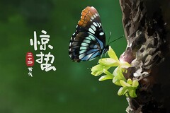 历年自考试题及答案(历年自考试题及答案)