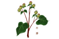 试论农村供电所规范化管理论文(供电所规范化管理发言稿)