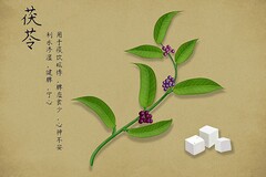 是谁躲在回忆的角落_是谁，躲在青春的角落里哭泣